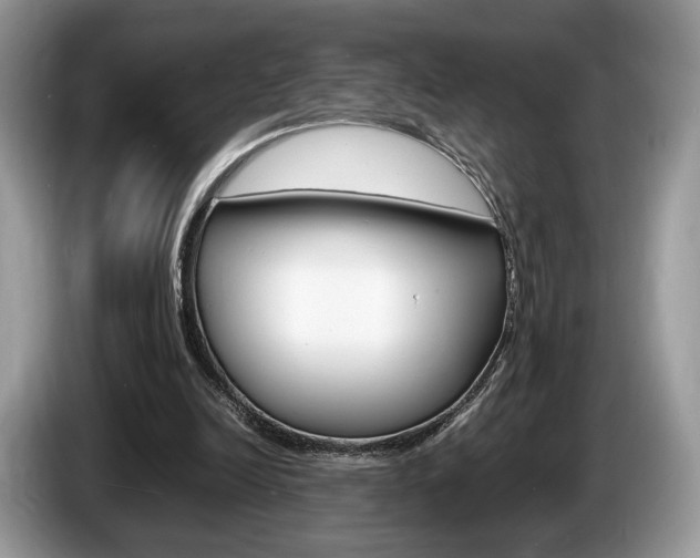 X0000087600246200704271048