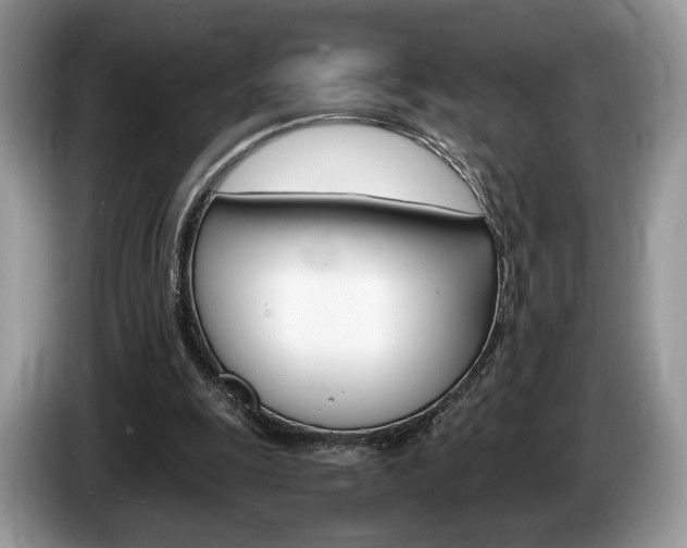 X0000087600247200704271048