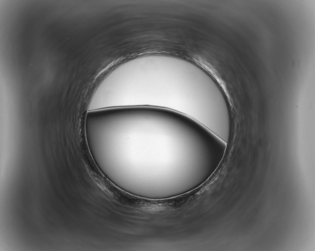 X0000087600249200704271048