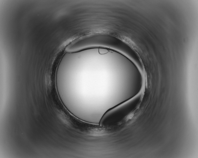 X0000087600252200704271048