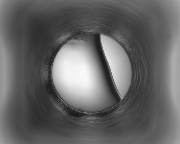 X0000087600255200704271048