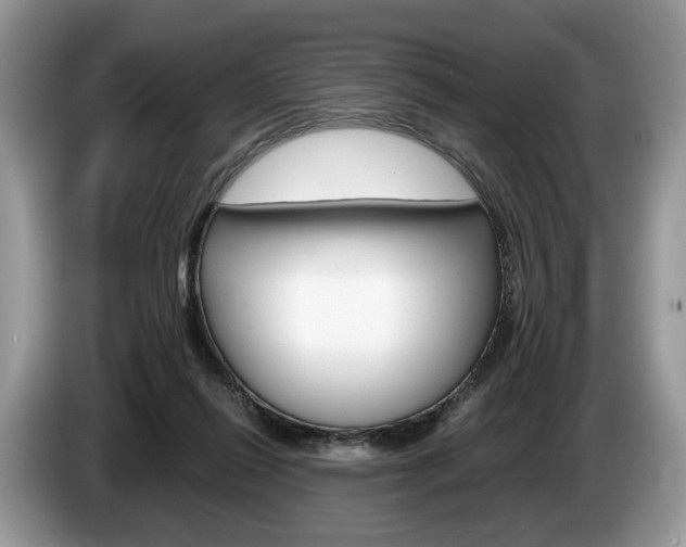 X0000087600262200704271048