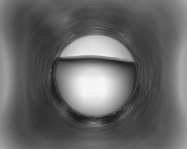 X0000087600263200704271048