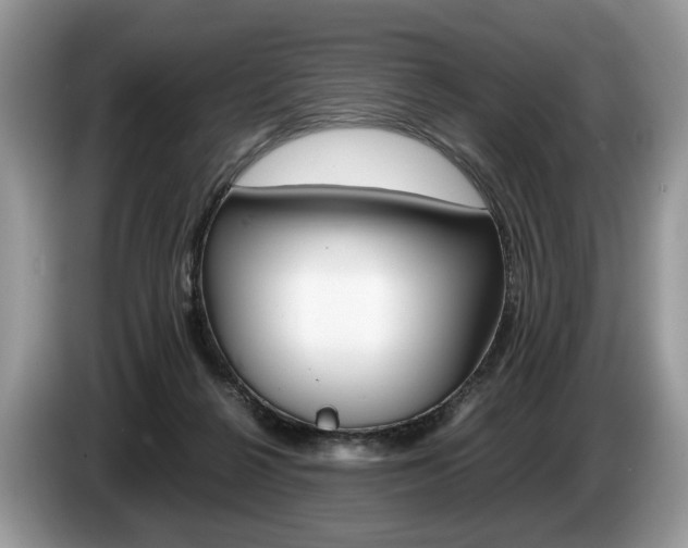X0000087600264200704271048