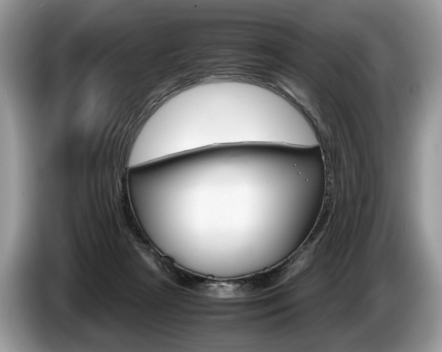 X0000087600265200704271048
