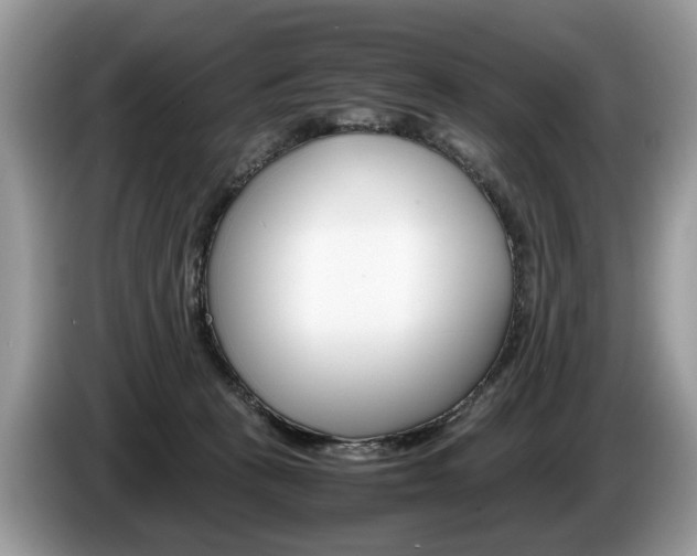 X0000087600273200704271048