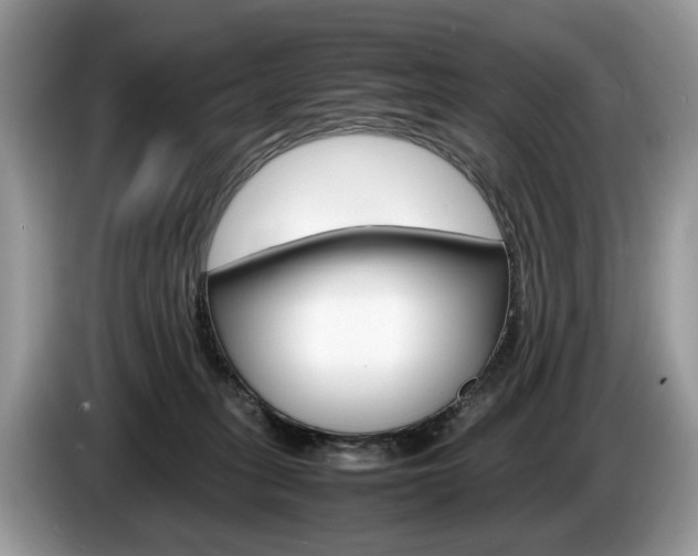 X0000087600275200704271048