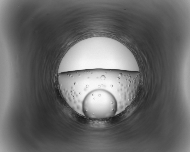 X0000087600282200704271048