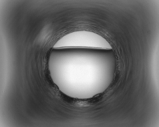 X0000087600283200704271048