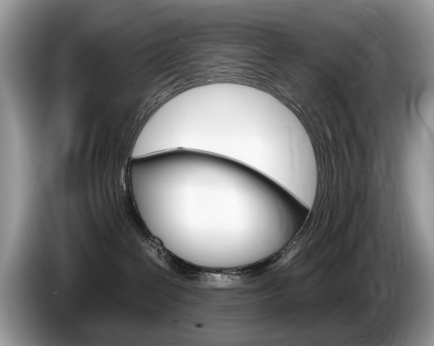 X0000087600286200704271048