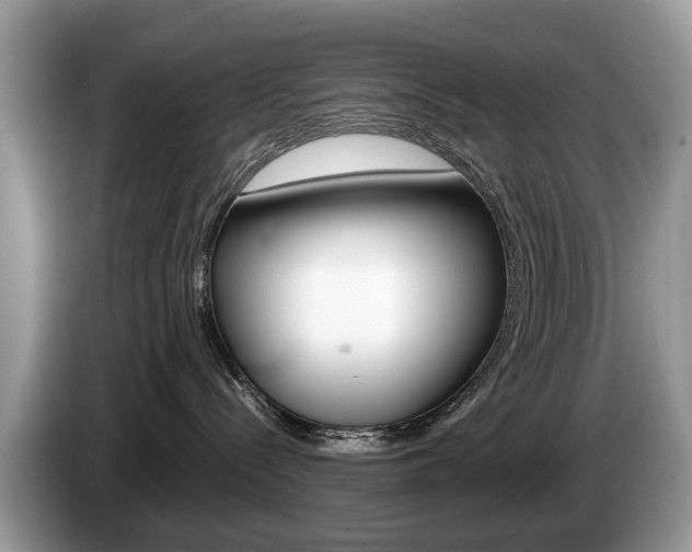 X0000087600288200704271048