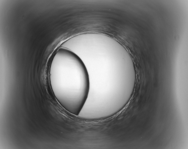 X0000087600290200704271048