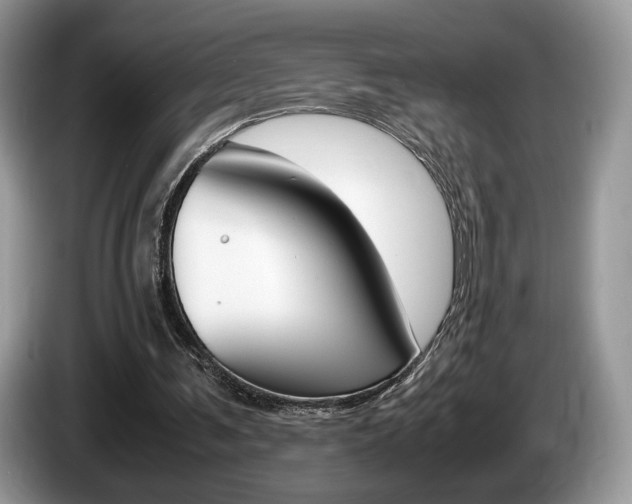 X0000087600291200704271048