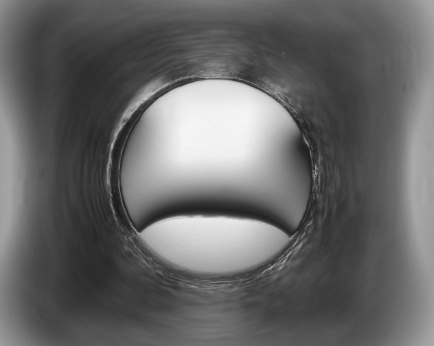 X0000087600292200704271048