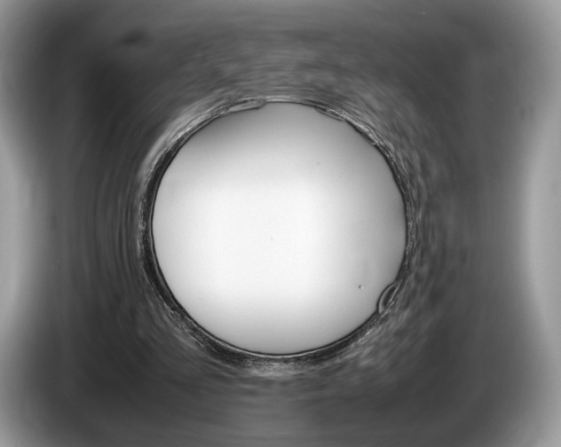 X0000087600293200704271048