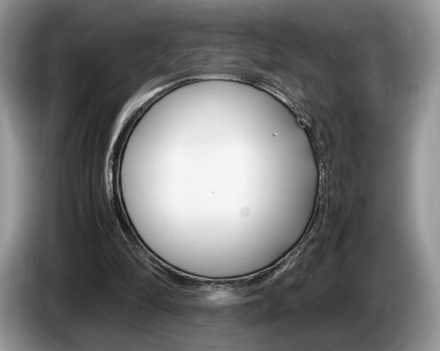 X0000087600294200704271048