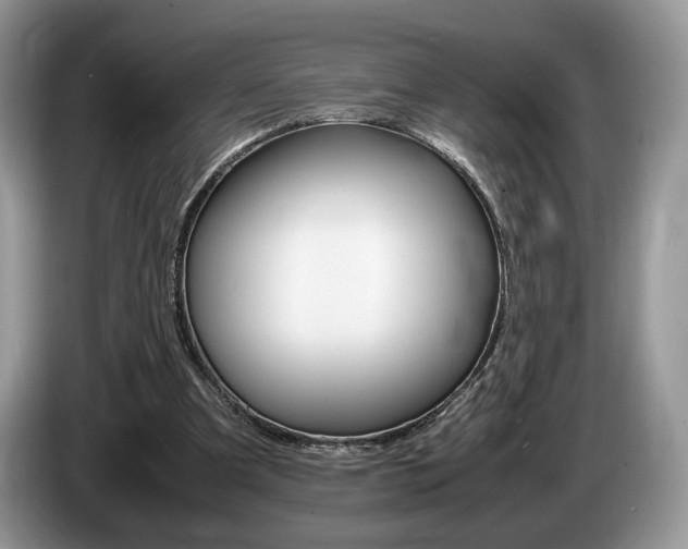 X0000087600297200704271048