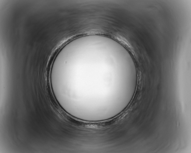 X0000087600298200704271048