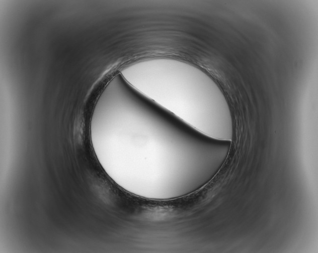 X0000087600304200704271048
