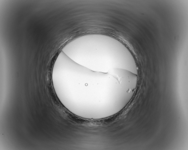 X0000087600305200704271048