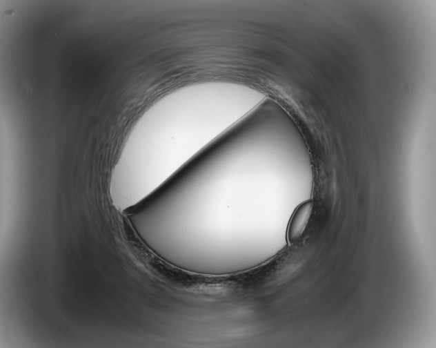 X0000087600307200704271048