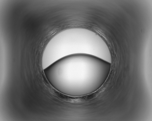 X0000087600309200704271048
