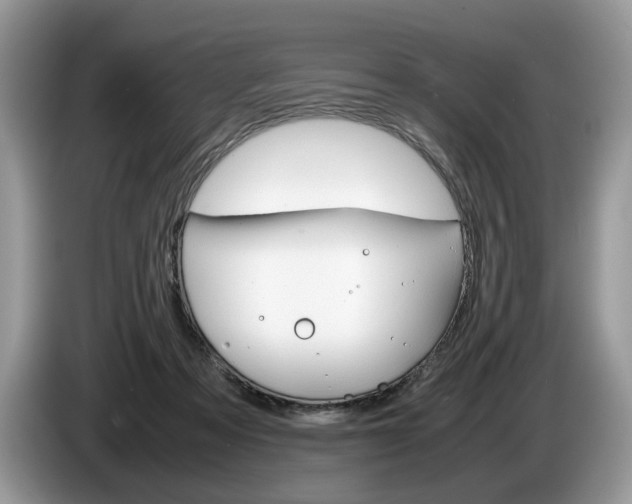 X0000087600313200704271048