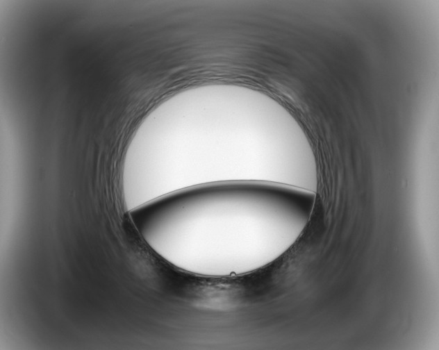 X0000087600315200704271048