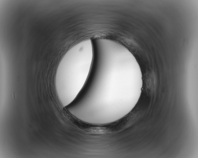 X0000087600316200704271048