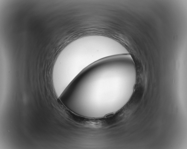 X0000087600317200704271048