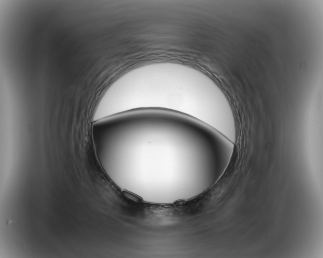 X0000087600325200704271047
