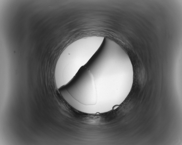 X0000087600328200704271047