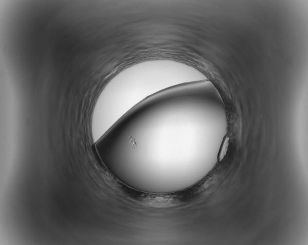 X0000087600329200704271047