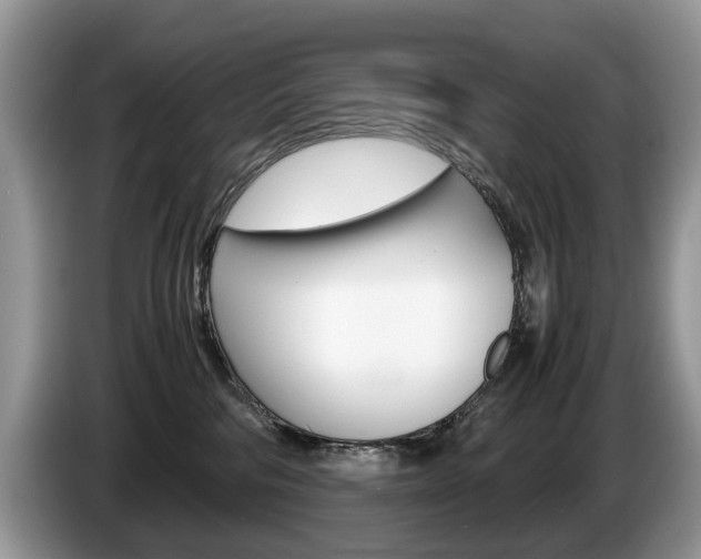 X0000087600330200704271047