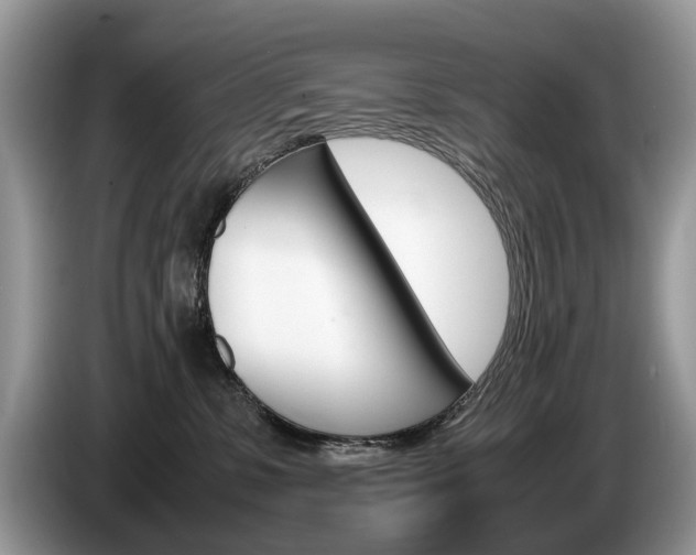 X0000087600331200704271047