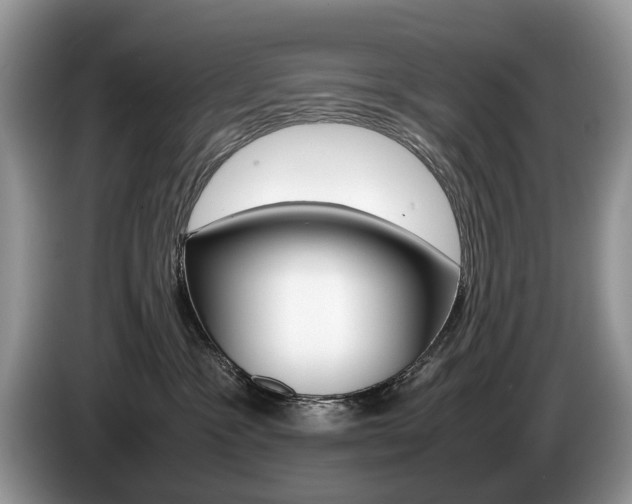 X0000087600333200704271047
