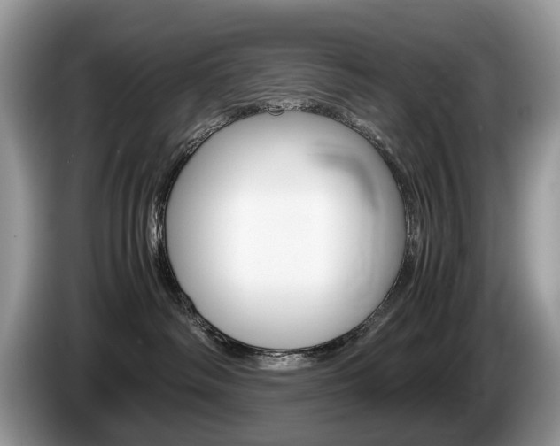 X0000087600334200704271047