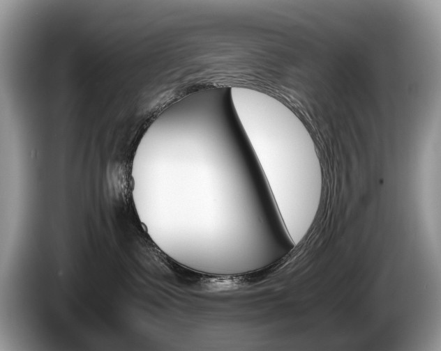 X0000087600335200704271047