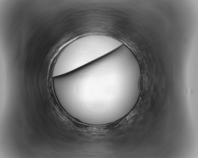 X0000087600338200704271047