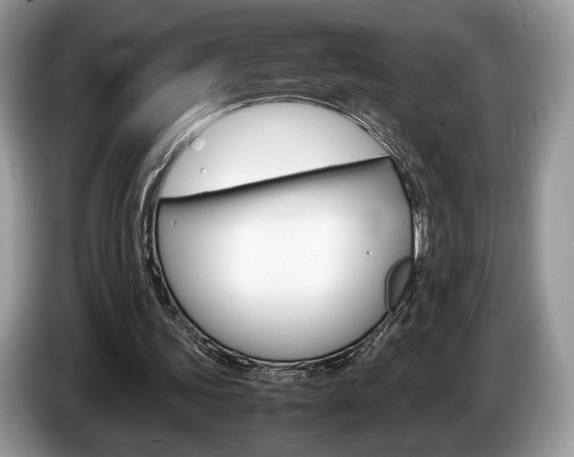 X0000087600339200704271047