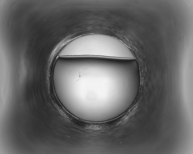 X0000087600341200704271047