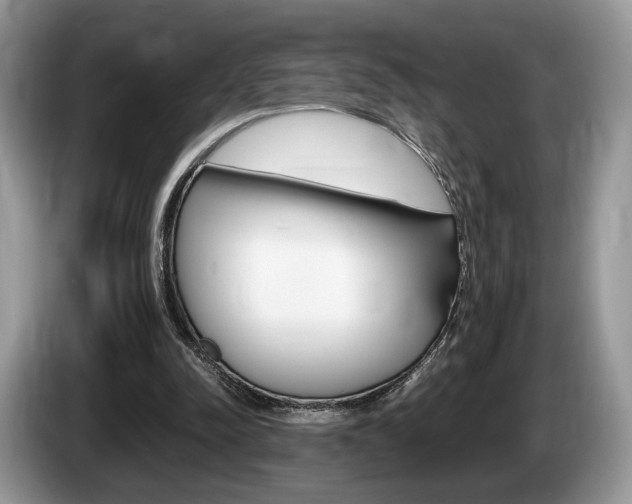 X0000087600342200704271047