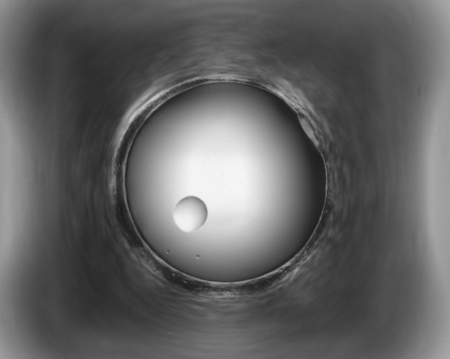 X0000087600344200704271047