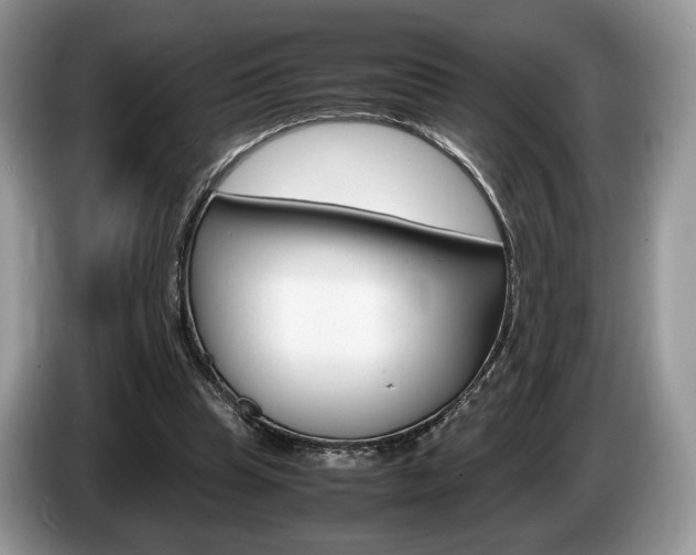 X0000087600345200704271047