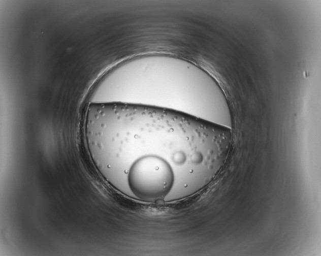 X0000087600346200704271047