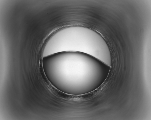 X0000087600350200704271047