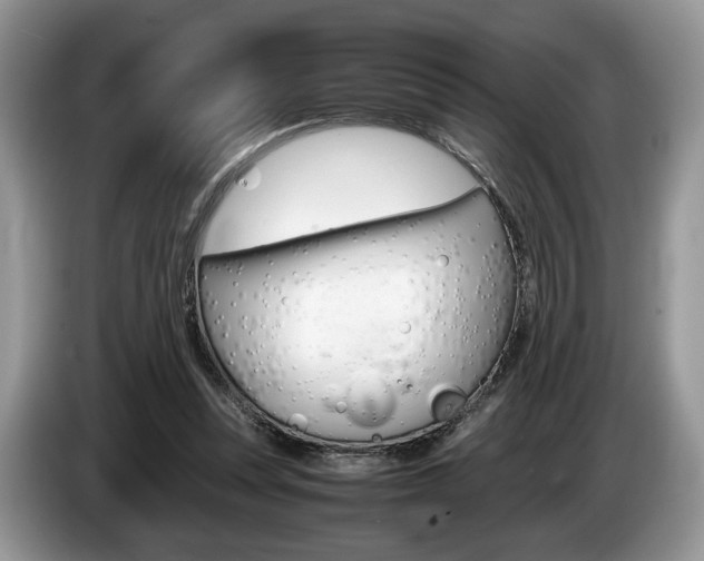X0000087600351200704271047