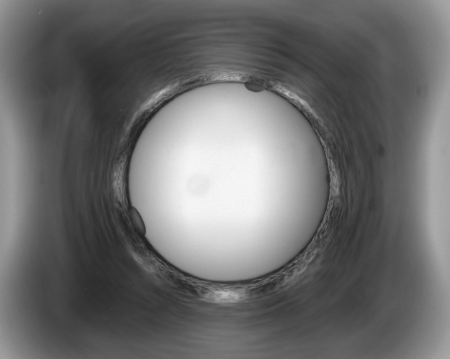 X0000087600352200704271047