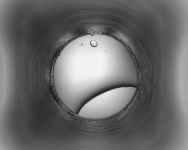 X0000087600353200704271047