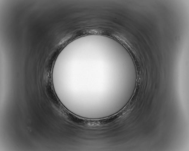 X0000087600355200704271047